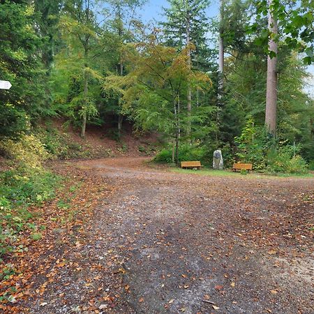 Kaffeehof 3 - 4 Einzelbetten Bad Liebenzell Kültér fotó